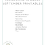 Woodland Wonder Curriculum Preschool 02.5 September Printables