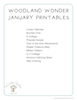 Woodland Wonder Curriculum Preschool 06.5 January Printables.png