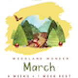 Woodland Wonder Curriculum Preschool 08 March
