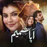 t240 aapa shameem card