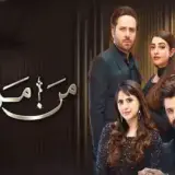 t239 mann marzi card