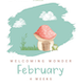 Welcoming Wonder Curriculum Kindergarten 07 February