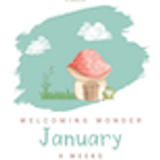 Welcoming Wonder Curriculum Kindergarten 06 January