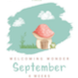 Welcoming Wonder Curriculum Kindergarten 02 September