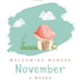 Welcoming Wonder Curriculum Kindergarten 04 November