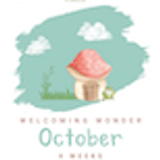 Welcoming Wonder Curriculum Kindergarten 03 October