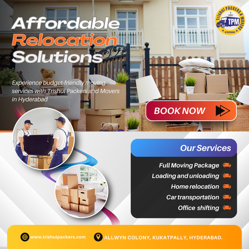 Looking for budget-friendly moving services?.png