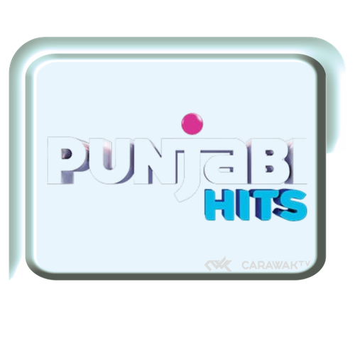 PUNJABI HITS.png