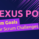 Nexus Poll Scrum Challenges