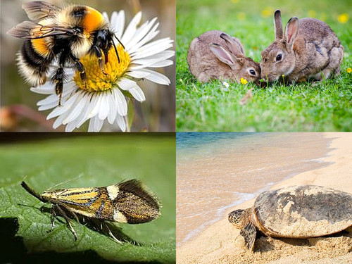 ' Glorified is The  All-Mighty Creator '.jpg