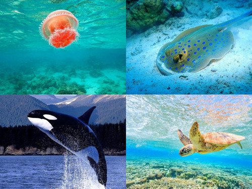 ' Glorified is The  All-Mighty Creator '.jpg