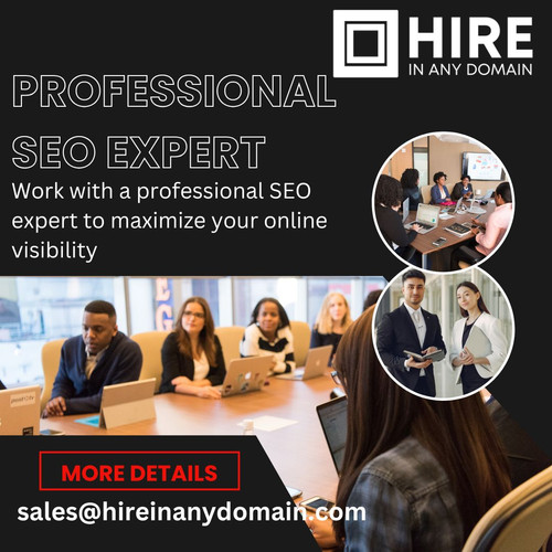 Professional SEO Expert.jpg