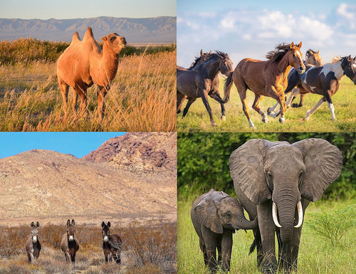 ' Glorified is The  All-Mighty Creator '.jpg