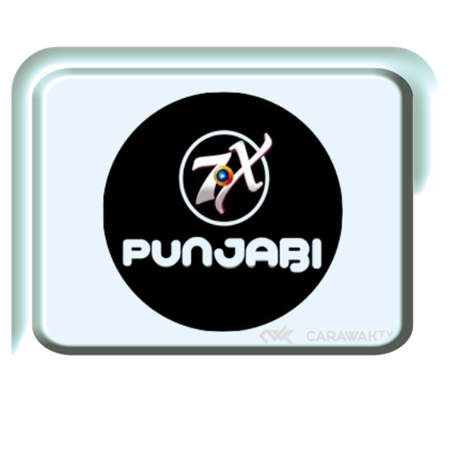 7x punjabi.png