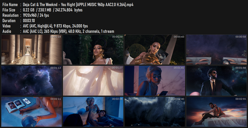 Doja Cat & The Weeknd You Right [APPLE MUSIC 960p AAC2.0 H.264].mp4.png