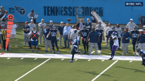GIF 11 17 2024 12 45 01 PM.gif