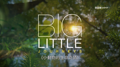 Big.Little.Journeys.S01E01.2023.1080p.Hami.WEB DL.H264.AAC HHWEB.mkv 20241118 033155.820.png