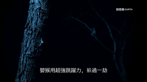 Big.Little.Journeys.S01E01.2023.1080p.Hami.WEB DL.H264.AAC HHWEB.mkv 20241118 033203.957.png