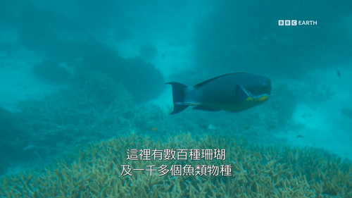 Climate.Change.Ade.on.the.Frontline.S01E01.2021.1080p.Hami.WEB DL.H264.AAC HHWEB.mkv 20241118 033708.png