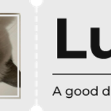 goodday banner lucine