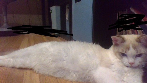 Poof.jpg