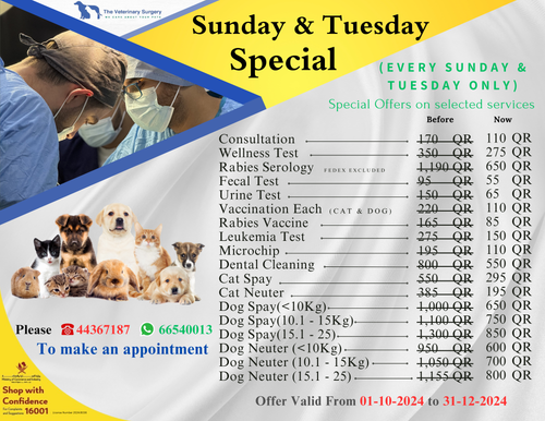 Tuesday Special new brochure.png