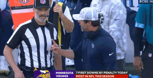 GIF 11 17 2024 2 19 13 PM.gif