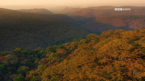 Mammals.S01E01.2024.1080p.Hami.WEB DL.H264.AAC HHWEB.mkv 20241118 042244.001.png