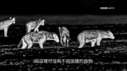 Mammals.S01E01.2024.1080p.Hami.WEB DL.H264.AAC HHWEB.mkv 20241118 042258.865.png