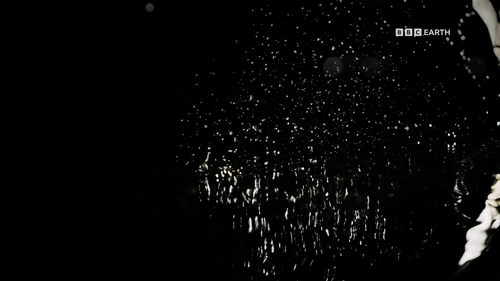 Mammals.S01E01.2024.1080p.Hami.WEB DL.H264.AAC HHWEB.mkv 20241118 042313.065.png