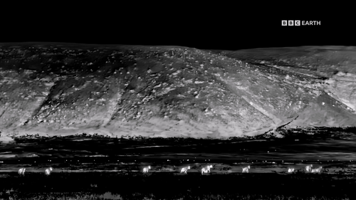 Mammals.S01E01.2024.1080p.Hami.WEB DL.H264.AAC HHWEB.mkv 20241118 042304.082.png