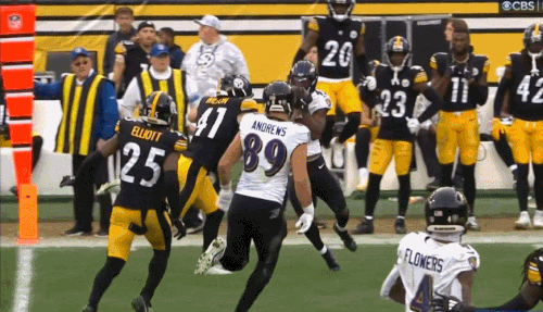 GIF 11 17 2024 2 53 17 PM.gif