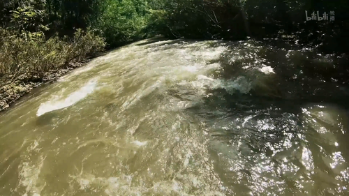 Ed.Stafford.First.Man.Out.S01E01.2019.2160p.WEB DL.H264.AAC HHWEB.mp4 20241118 045838.094.png