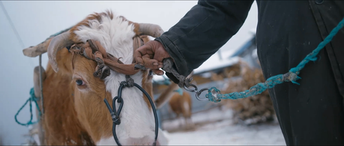 Little.Pickled.Village.S01E01.2024.1080p.WEB DL.H264.AAC HHWEB.mp4 20241118 054237.467.png