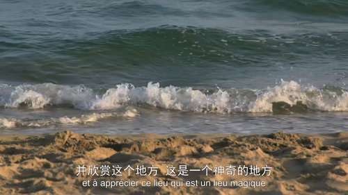 伟大遗产.Planet.Inventory.S01E01.2022.1080p.WEB DL.H265.AAC HHWEB.mp4 20241118 053943.468.png