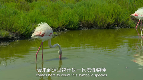 伟大遗产.Planet.Inventory.S01E01.2022.1080p.WEB DL.H265.AAC HHWEB.mp4 20241118 053947.331.png