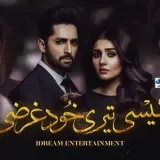 t42 kaisi teri khudgarzi