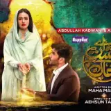 t38 aye musht e khaak card