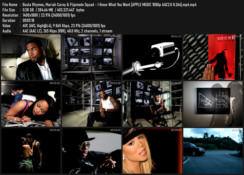 Busta Rhymes, Mariah Carey & Flipmode Squad I Know What You Want [APPLE MUSIC 1080p AAC2.0 H.264].mp.png