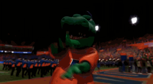 GIF 11 16 2024 5 38 44 PM.gif