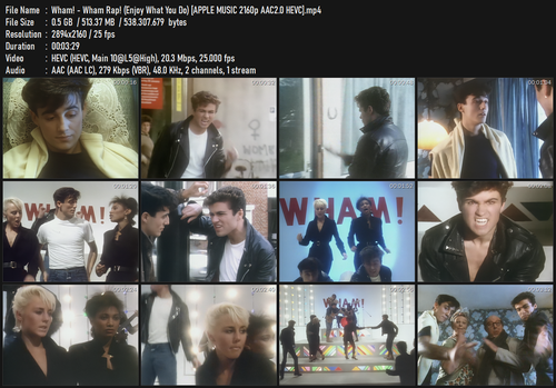 Wham! Wham Rap! (Enjoy What You Do) [APPLE MUSIC 2160p AAC2.0 HEVC].mp4.png