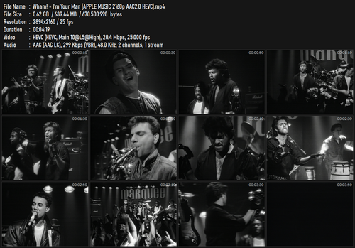 Wham! I'm Your Man [APPLE MUSIC 2160p AAC2.0 HEVC].mp4.png