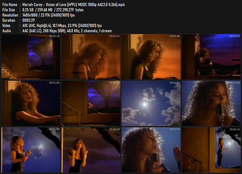 Mariah Carey Vision of Love [APPLE MUSIC 1080p AAC2.0 H.264].mp4.png