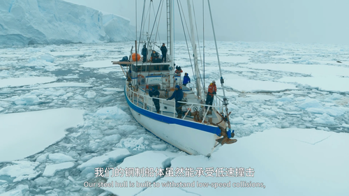 Animals.Up.Close.with.Bertie.Gregory.S01E01.2023.1080p.WEB DL.H264.AAC HHWEB.mp4 20241117 121822.176.png