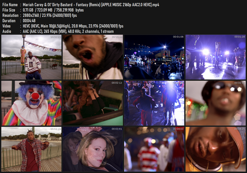 Mariah Carey & Ol' Dirty Bastard Fantasy (Remix) [APPLE MUSIC 2160p AAC2.0 HEVC].mp4.png