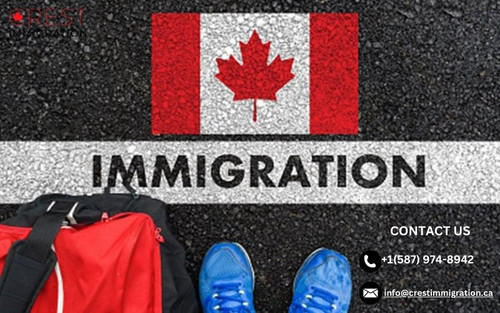 Immigration Programs in Canada.jpg