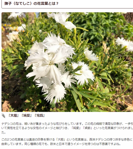 prtsc 2024 09 12 23 27.png