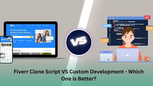 fiverr clone script vs custom development which one is better.jpg