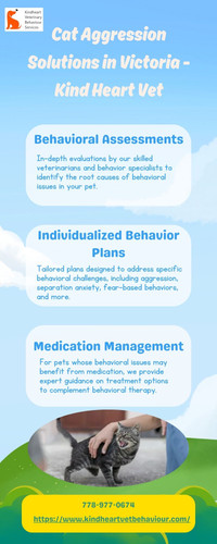 Cat Aggression Solutions in Victoria Kind Heart Vet.jpg
