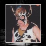 Bullfight Sora.jpg
